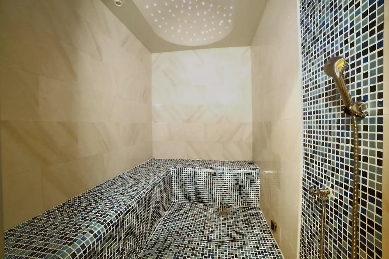 Four Sides Taksim Lion Hotel&Spa Provincia di Provincia di Istanbul Turchia